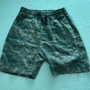 Zanerobe shorts